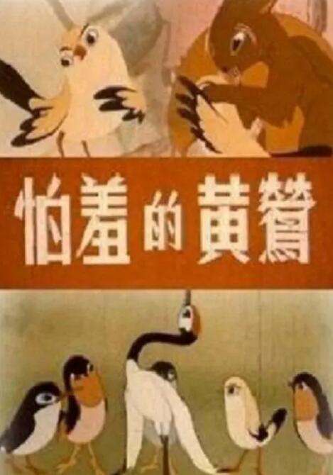 www污视频