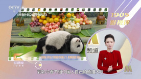 国产一区二区三区美女